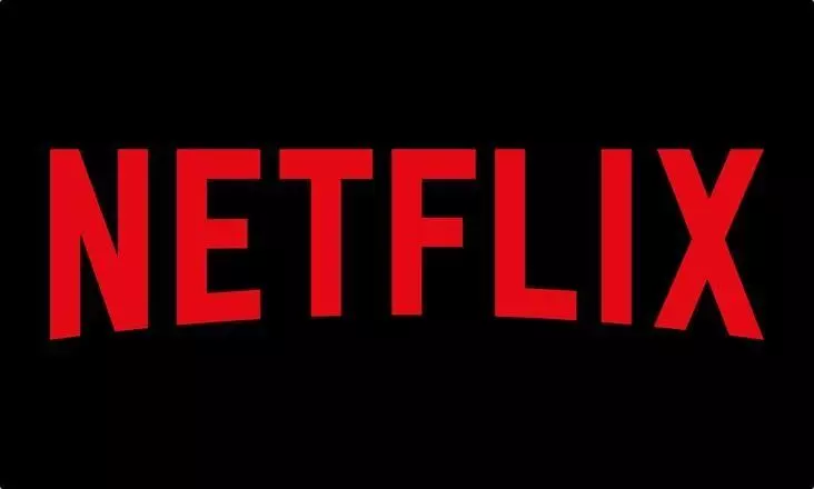Netflix Aktienkurs – Kursrutsch nach den Quartalszahlen